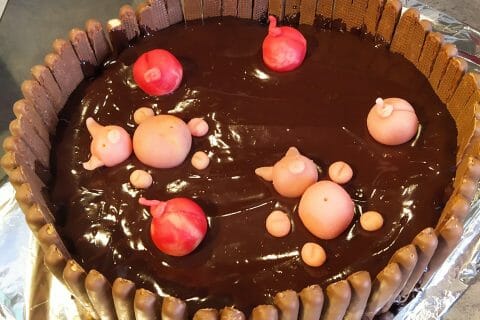 Cliquez pour zoomer ! La mare aux cochons Thermomix par bouddhu