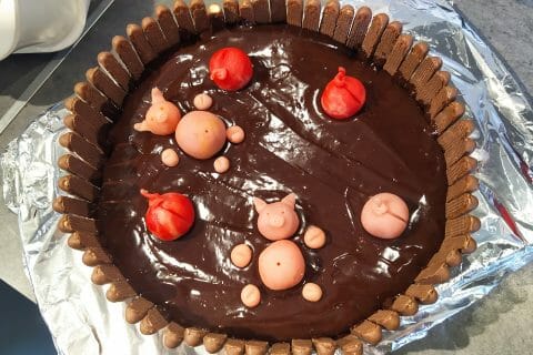 Cliquez pour zoomer ! La mare aux cochons Thermomix par bouddhu