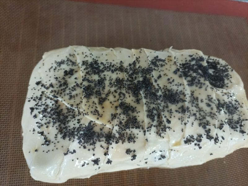 Cliquez pour zoomer ! Feuilleté saumon et poireaux Thermomix par vimomix67