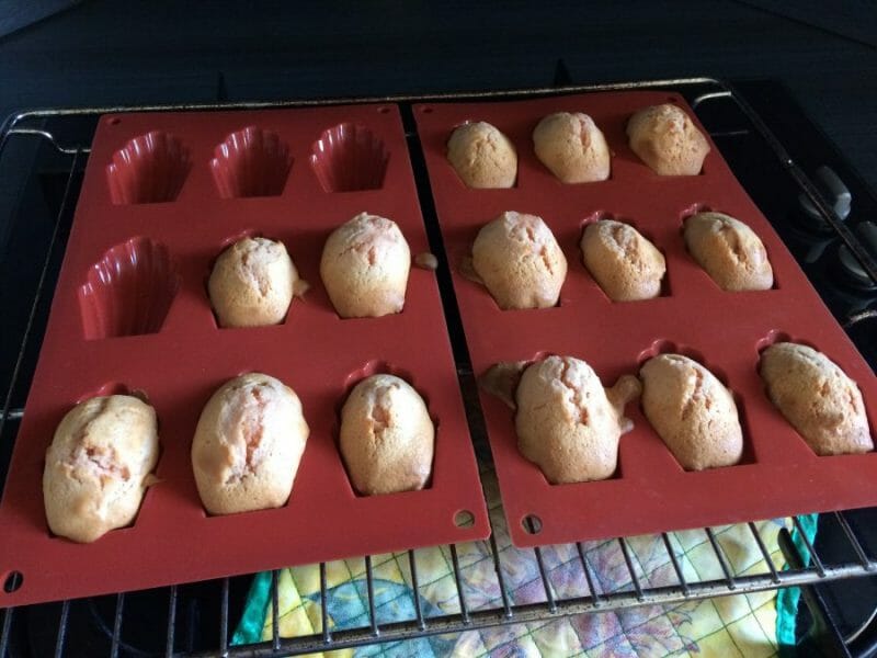 Cliquez pour zoomer ! Madeleines aux biscuits roses de Reims Thermomix par Séverine