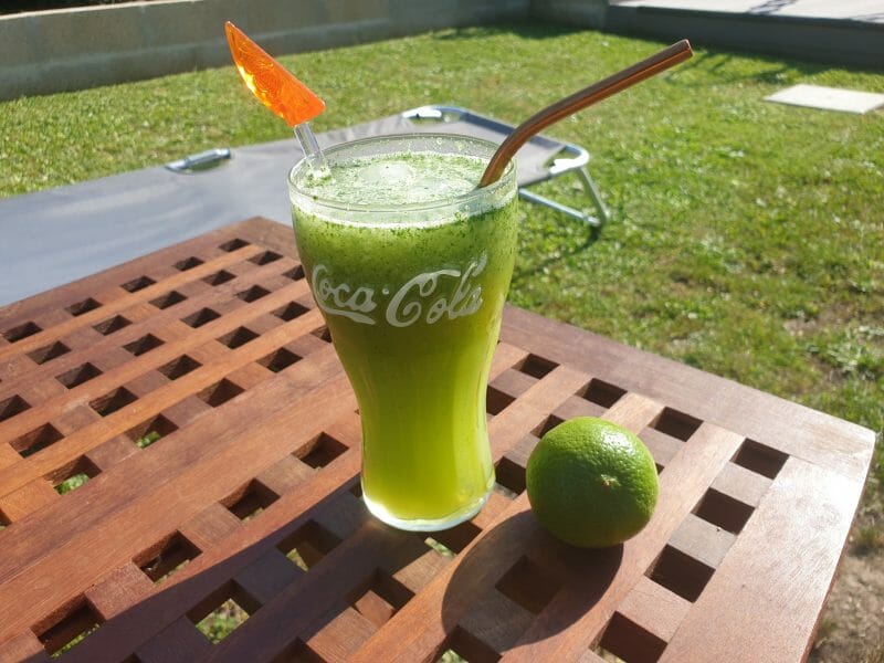 Cliquez pour zoomer ! Granité mojito Thermomix par adye