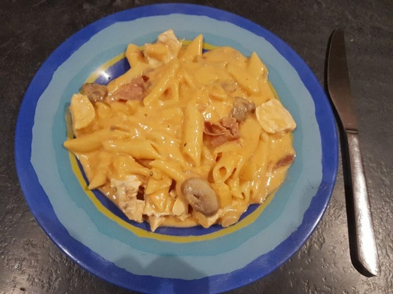 Cliquez pour zoomer ! Pennes au poulet, tomates et champignons Thermomix par Moutonnette