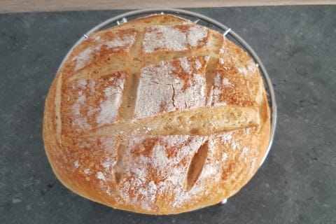 Photos des recettes
