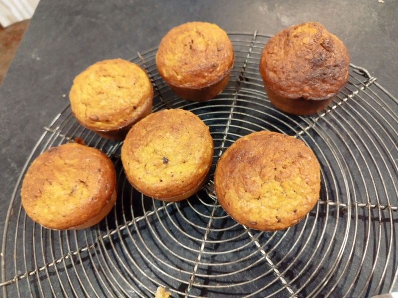 Cliquez pour zoomer ! Muffins au potiron et aux pommes Thermomix par Moutonnette