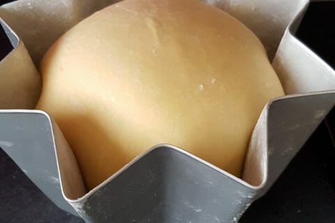 Cliquez pour zoomer ! Pandoro Thermomix par Moutonnette