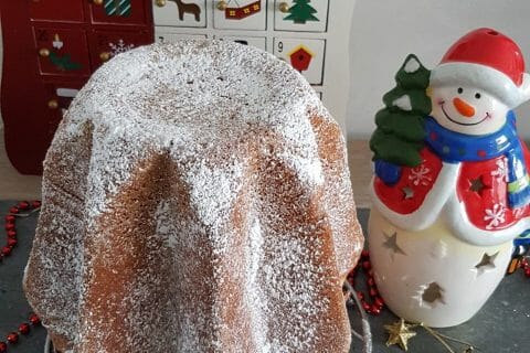 Cliquez pour zoomer ! Pandoro Thermomix par Moutonnette