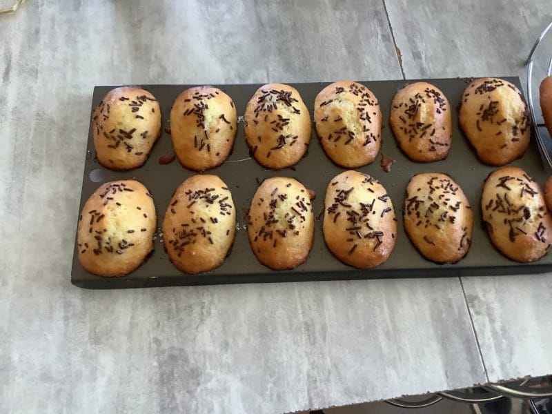 Cliquez pour zoomer ! Madeleines au yaourt Thermomix par Lelex39