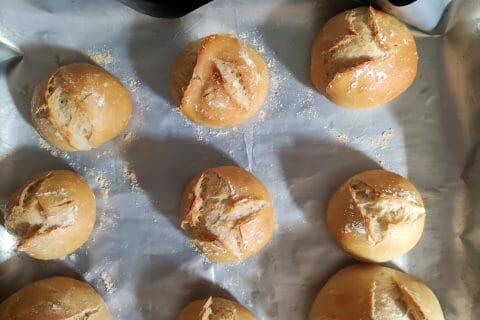 Cliquez pour zoomer ! image-665b72e3-6624-49f0-b0a9-036f6c1dad8b