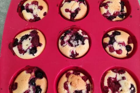 Cliquez pour zoomer ! Visitandines aux framboises Thermomix par Dal19