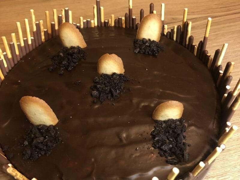 Cliquez pour zoomer ! Gâteau au yaourt Thermomix par melaanieeee