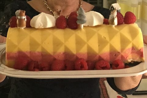 Cliquez pour zoomer ! Bûche glacée mangue et framboise Thermomix par cerisechoco