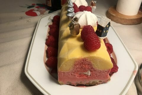 Cliquez pour zoomer ! Bûche glacée mangue et framboise Thermomix par cerisechoco