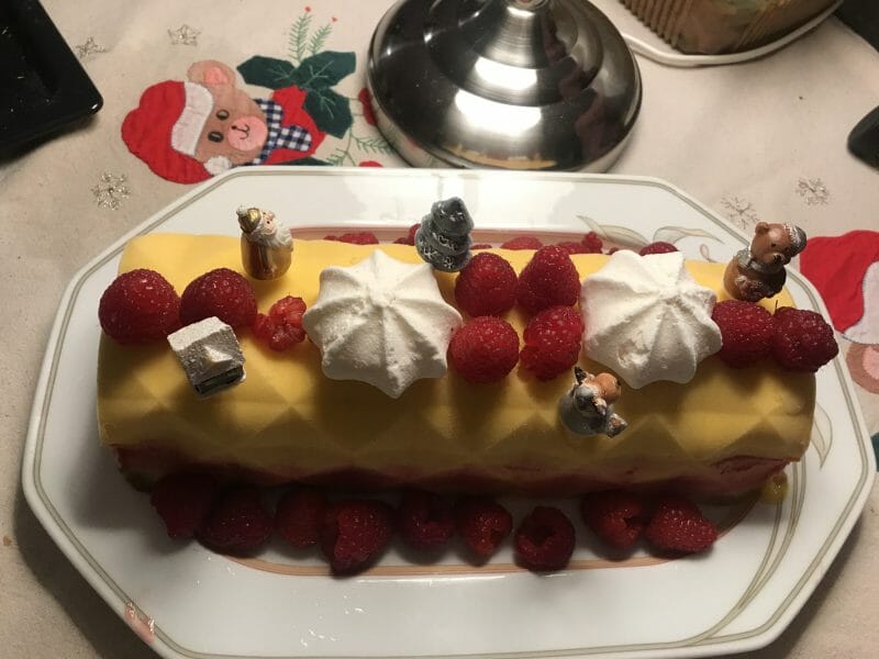 Cliquez pour zoomer ! Bûche glacée mangue et framboise Thermomix par cerisechoco