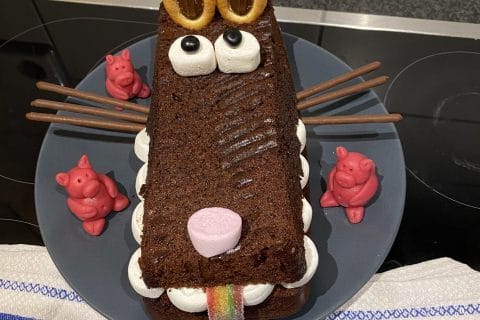 Cliquez pour zoomer ! Photo de nanasel