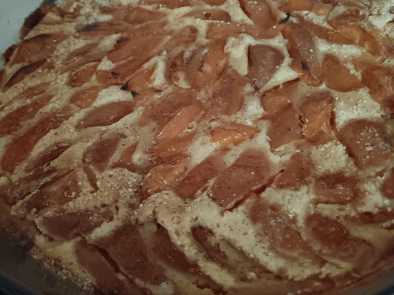 Cliquez pour zoomer ! Far aux abricots Thermomix par patriciac