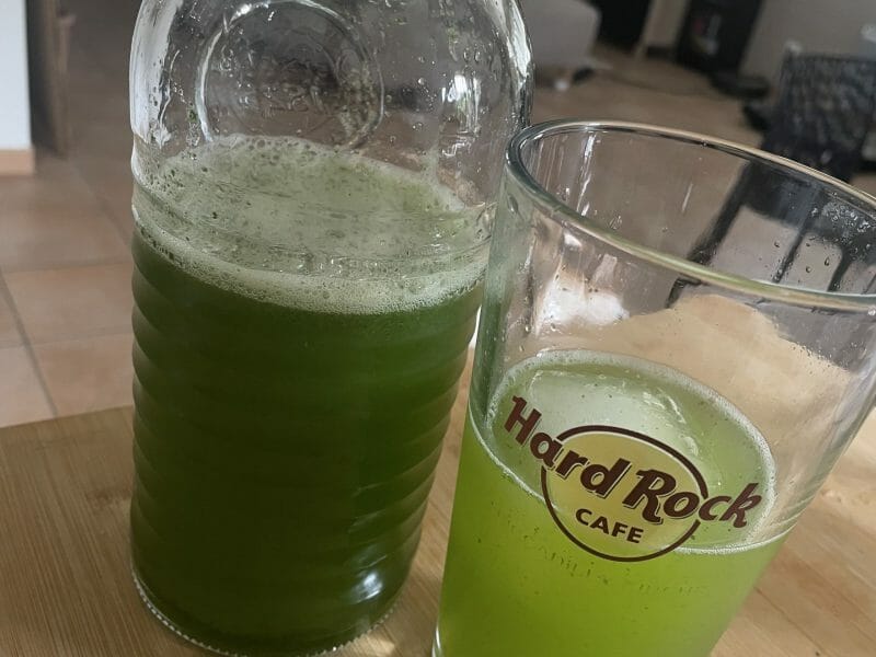 Cliquez pour zoomer ! Lemon mint Thermomix par mrsmarianella