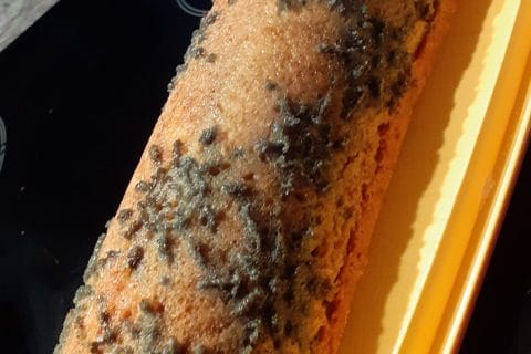 Cliquez pour zoomer ! Photo de christine_460