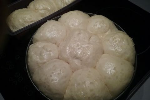 Cliquez pour zoomer ! Brioche Buchty Thermomix par Aurelt88