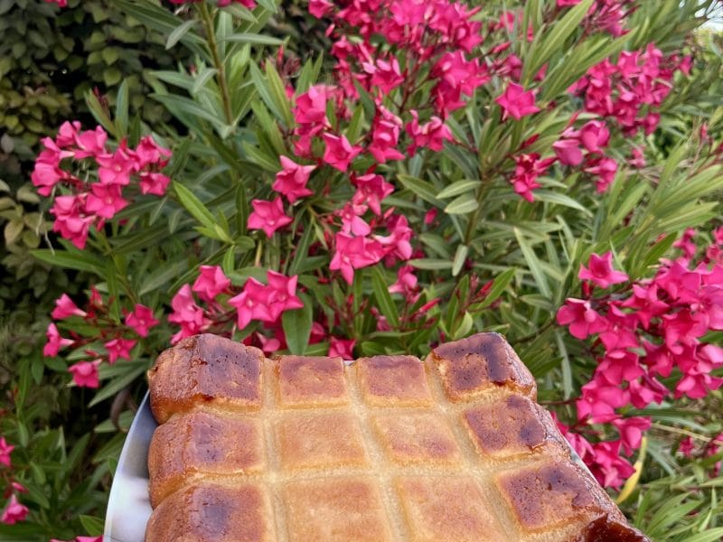 Cliquez pour zoomer ! Clafoutis aux framboises Thermomix par Muyato