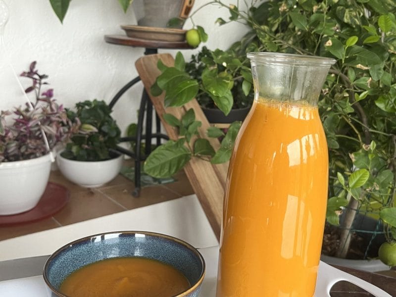 Cliquez pour zoomer ! Velouté de radis noir et carottes Thermomix par Muyato