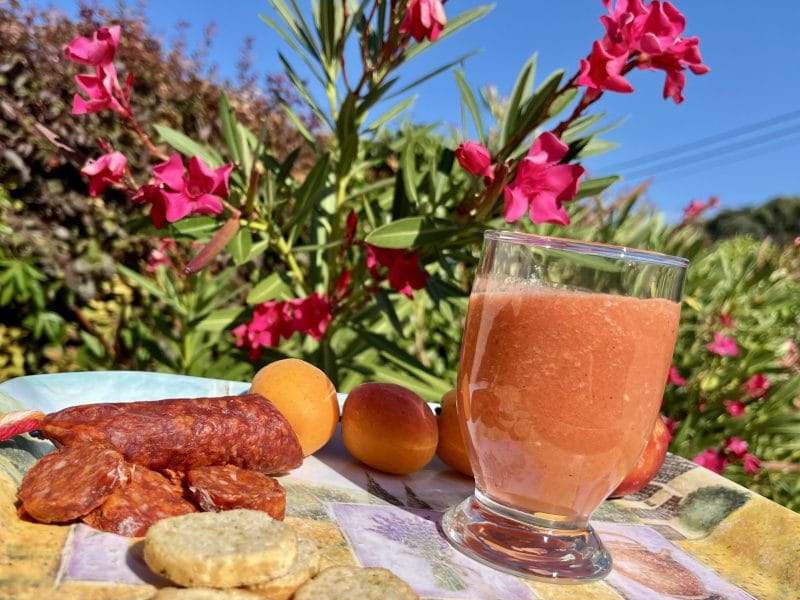 Cliquez pour zoomer ! Gaspacho pastèque menthe Thermomix par Muyato