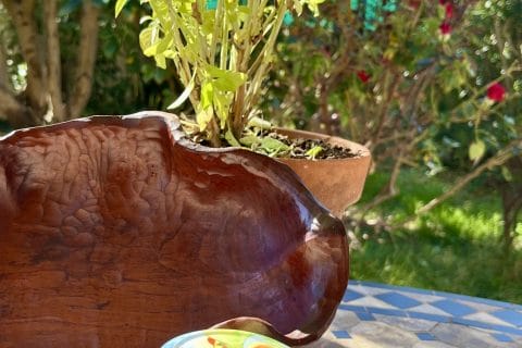 Cliquez pour zoomer ! Pesto Thermomix par Muyato