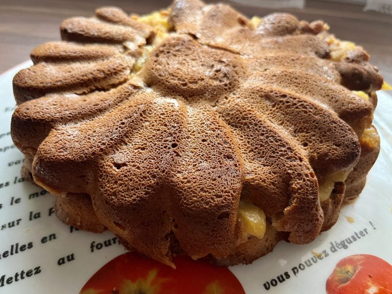Cliquez pour zoomer ! Gâteau aux pommes et mascarpone Thermomix par Muyato