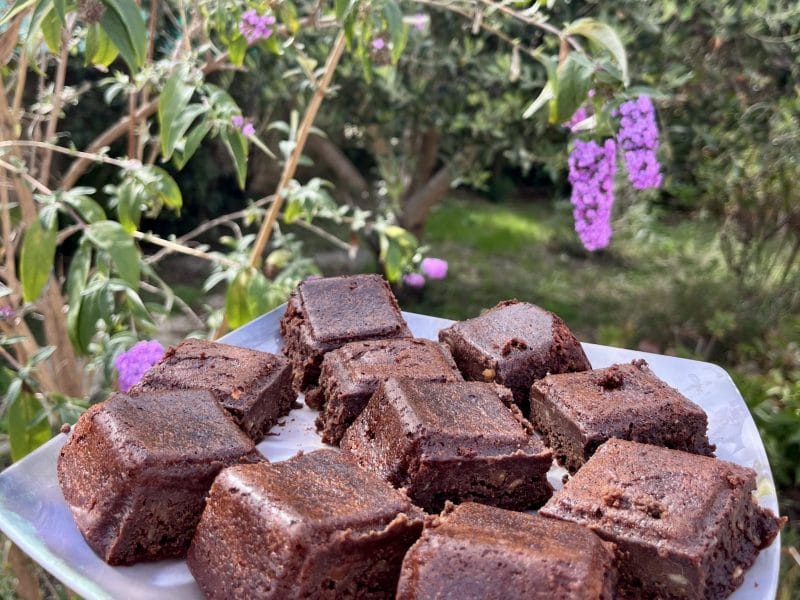 Cliquez pour zoomer ! Browfins choco banane et pécan Thermomix par Muyato