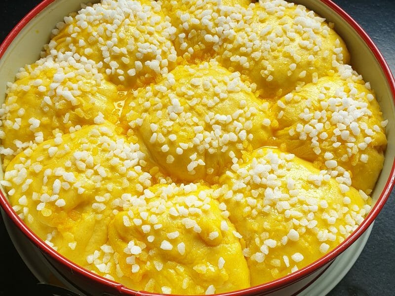 Cliquez pour zoomer ! Brioche Buchty Thermomix par Vero 064