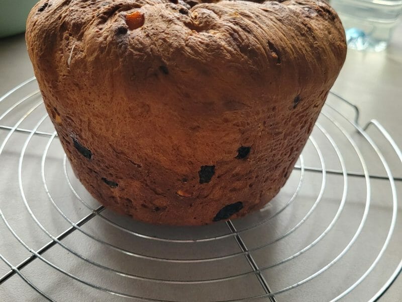 Cliquez pour zoomer ! Panettone Thermomix par Sandrine 10410