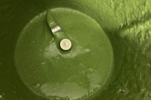 Cliquez pour zoomer ! Tagliatelles à la crème d’épinards Thermomix par melsaya