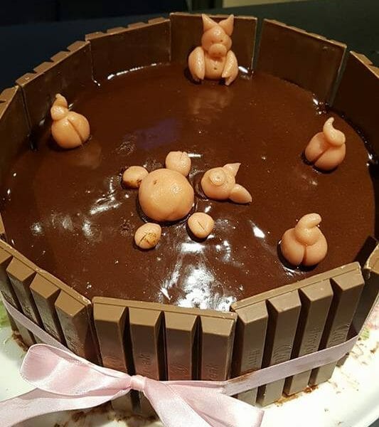 Cliquez pour zoomer ! La mare aux cochons Thermomix par Anna25MTB