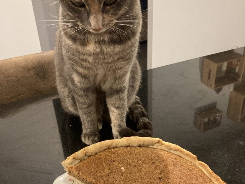 Cliquez pour zoomer ! Tartelettes aux noix de pécan Thermomix par Lolo