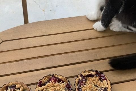 Cliquez pour zoomer ! Tarte aux cerises façon crumble Thermomix par Lolo