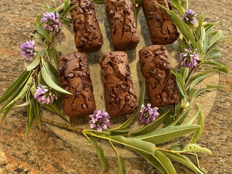 Cliquez pour zoomer ! Financiers au chocolat Thermomix par mitzy68