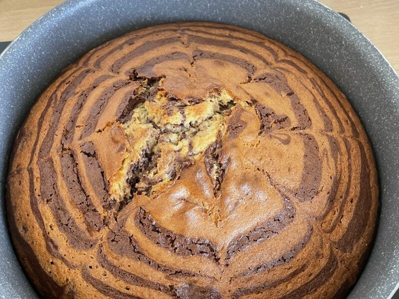 Cliquez pour zoomer ! Gâteau zébré Thermomix par eva26100