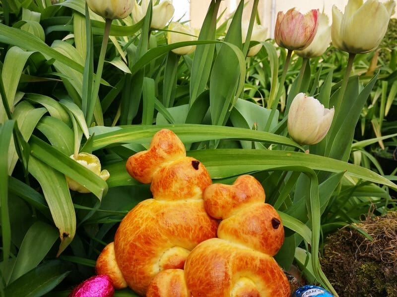 Cliquez pour zoomer ! Brioches lapin de Pâques Thermomix par Maud