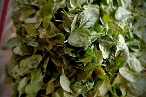 Cliquez pour zoomer ! Pesto d’épinards Thermomix par fanfan0309