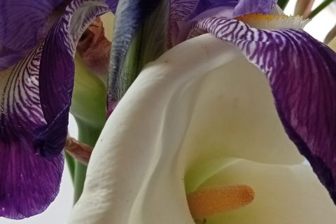 Cliquez pour zoomer ! Photo de lefrapper