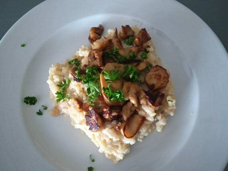 Cliquez pour zoomer ! Risotto aux cèpes Thermomix par lefrapper