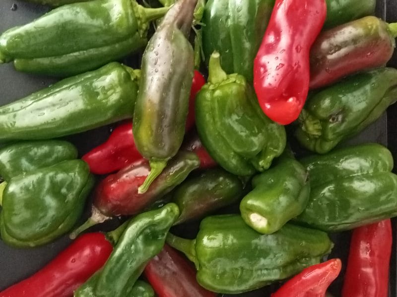 Cliquez pour zoomer ! Photo de lefrapper Thermomix par lefrapper