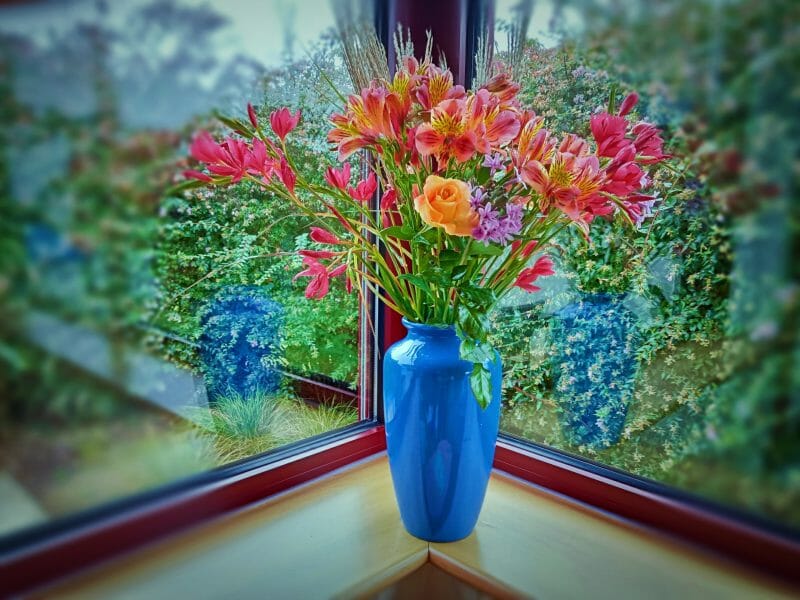 Cliquez pour zoomer ! Photo de lefrapper Thermomix par lefrapper