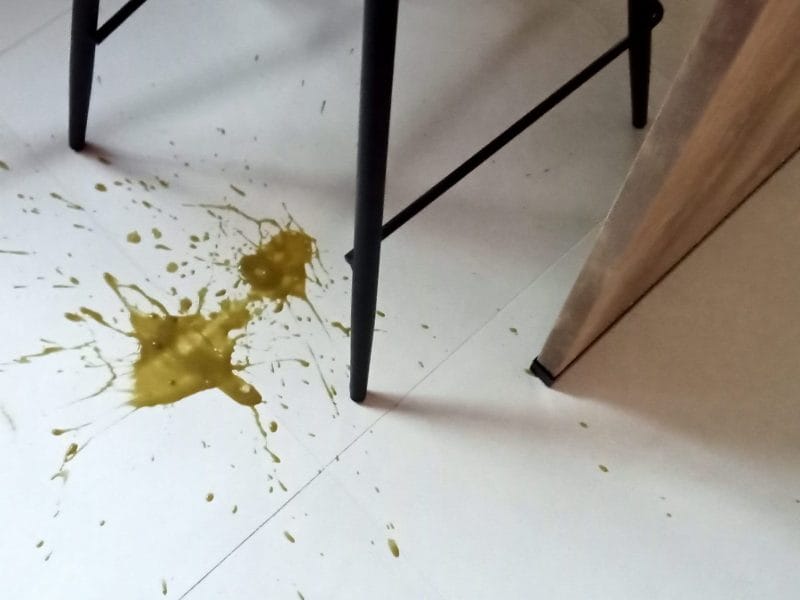 Cliquez pour zoomer ! Velouté à l’oseille Thermomix par lefrapper