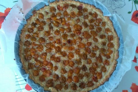 Cliquez pour zoomer ! Tarte aux mirabelles Thermomix par lefrapper