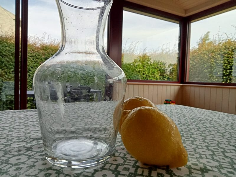 Cliquez pour zoomer ! Citronnade Thermomix par lefrapper