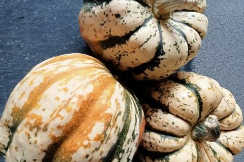 Cliquez pour zoomer ! Velouté de Courges Thermomix par lefrapper