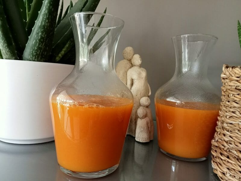 Cliquez pour zoomer ! Nectar d’abricot Thermomix par lefrapper