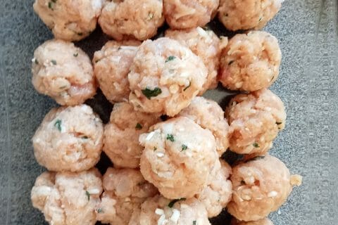 Cliquez pour zoomer ! Boulettes de dinde à l’italienne Thermomix par lefrapper