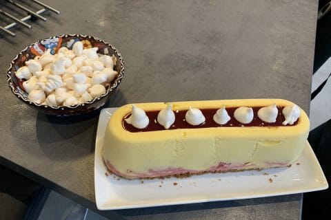 Cliquez pour zoomer ! Bûche glacée mangue et framboise Thermomix par melo_31