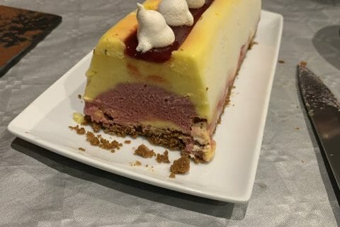 Cliquez pour zoomer ! Bûche glacée mangue et framboise Thermomix par melo_31